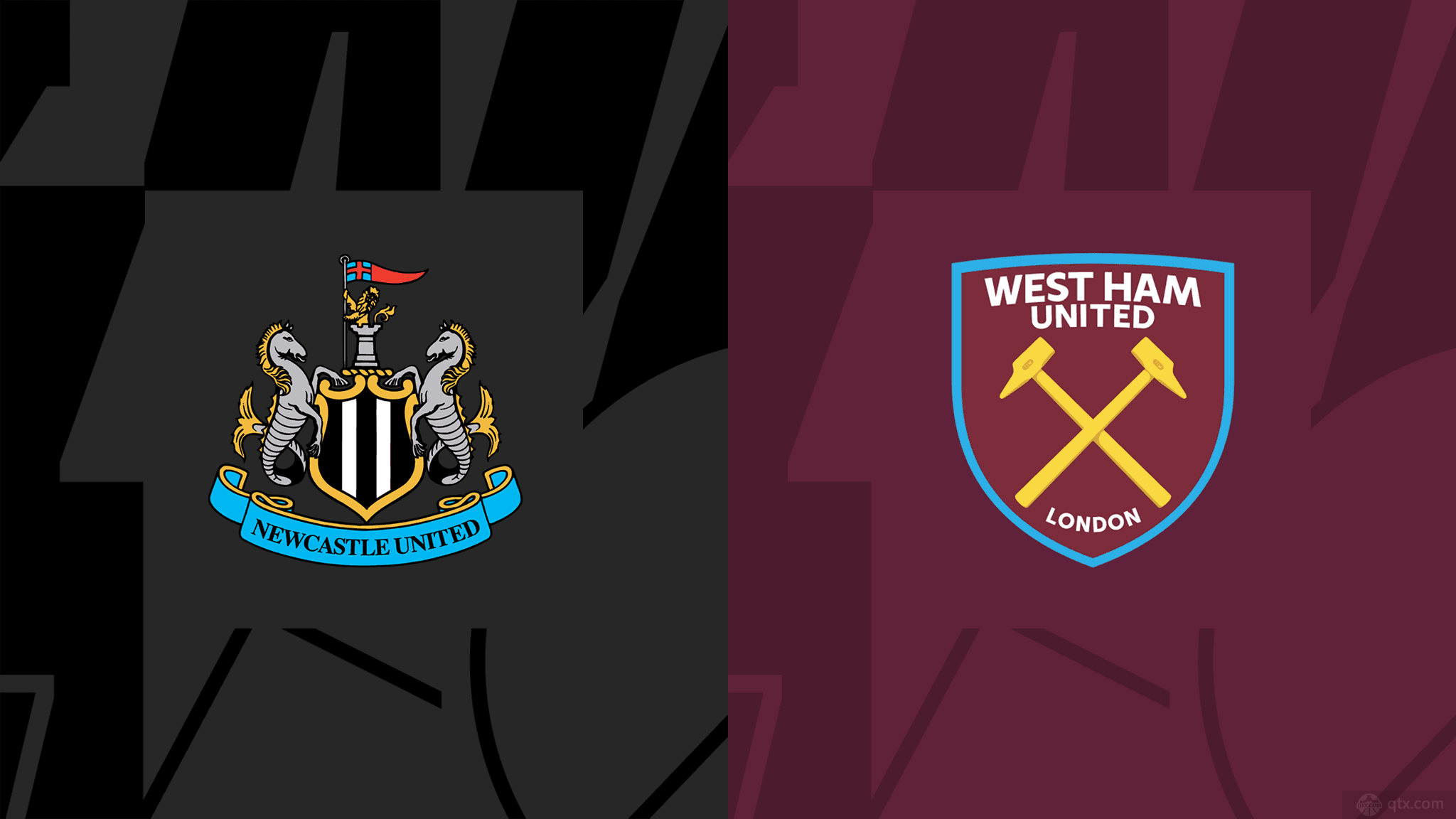 某些特定的 某些特定的